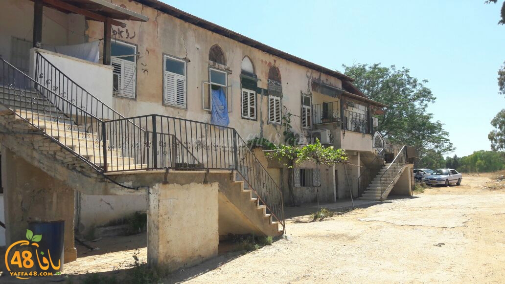 ikhla2 abo keshek (9).jpg.jpg